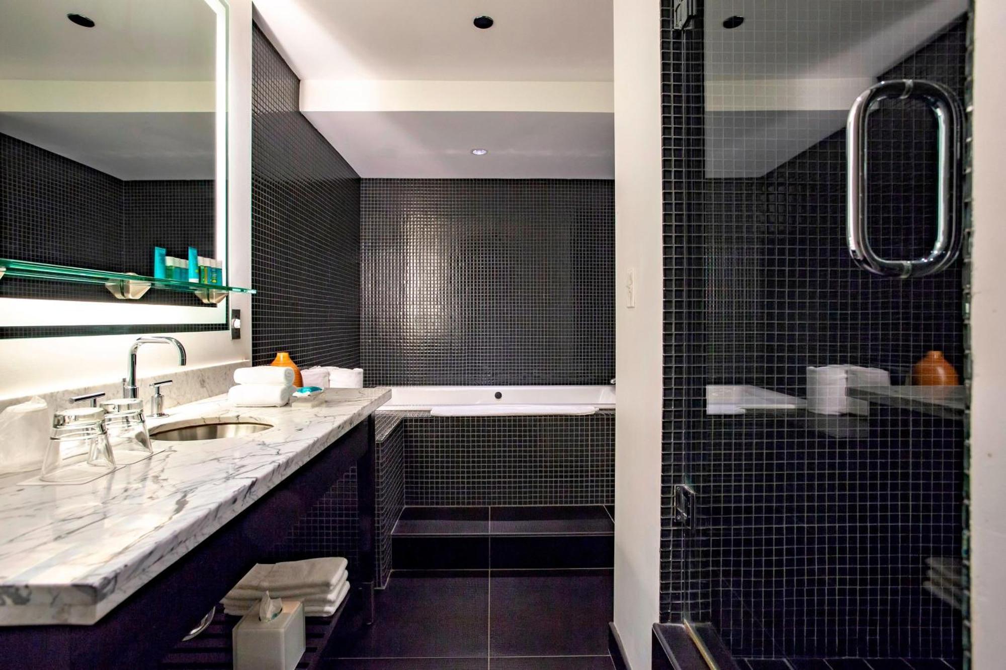 The Midland Hotel, Chicago, A Tribute Portfolio 4* Chicago